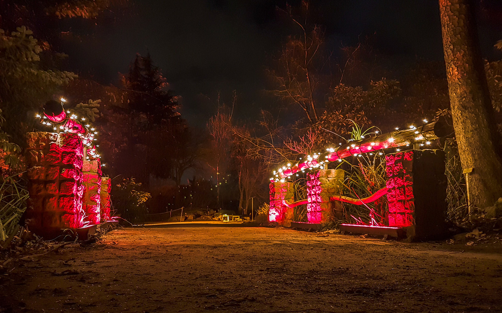 Botanischer Garten Berlin - Christmas Garden