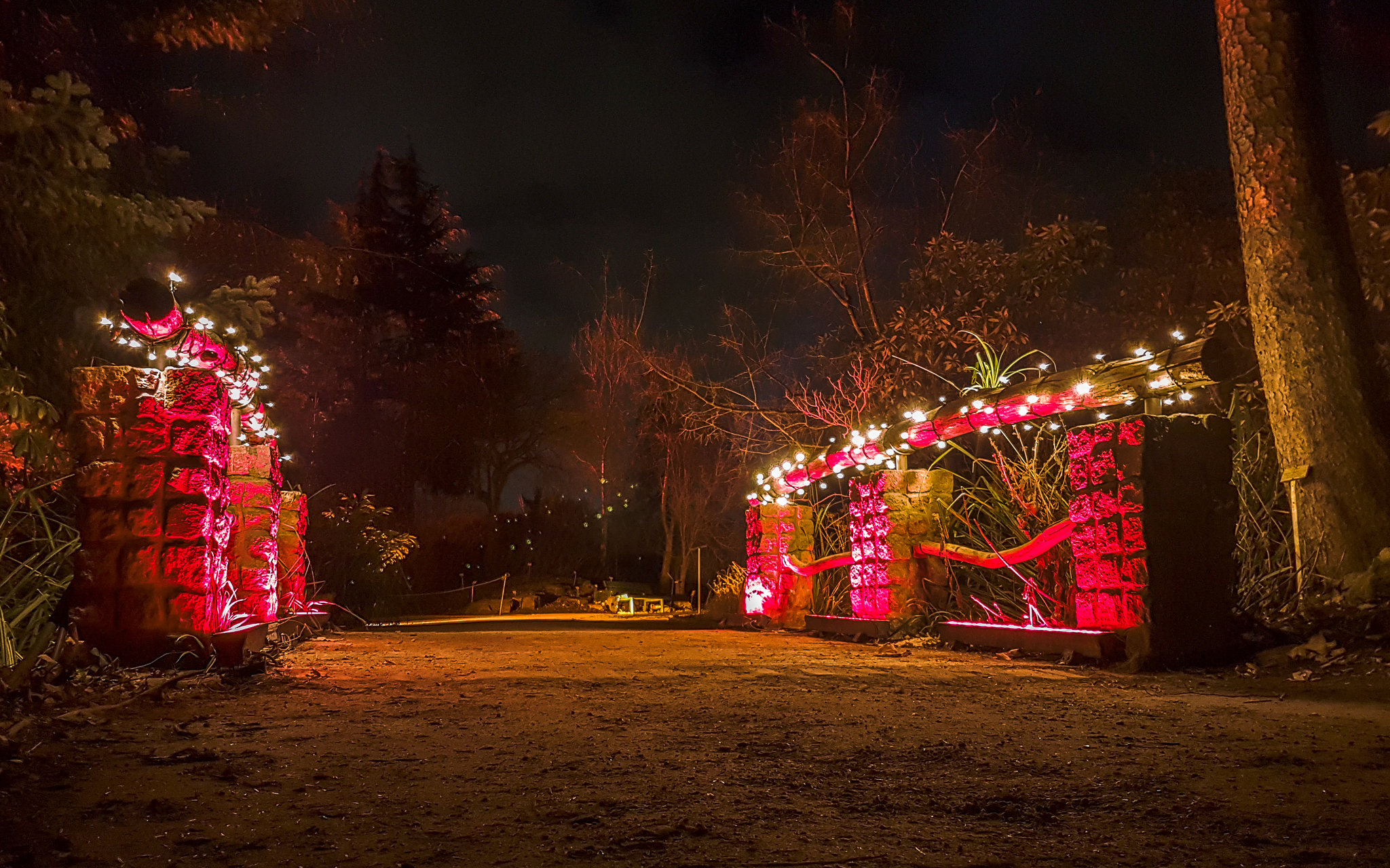 Botanischer Garten Berlin - Christmas Garden