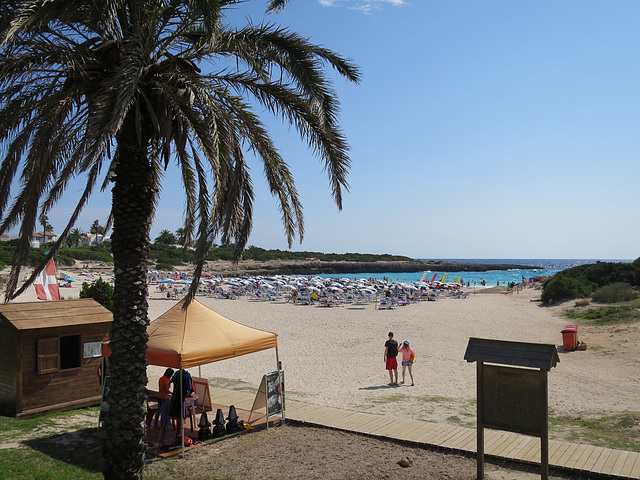 Cala en Bosc