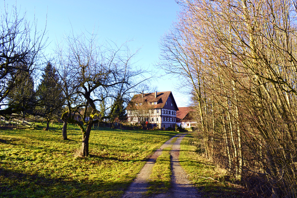 Bauernhof