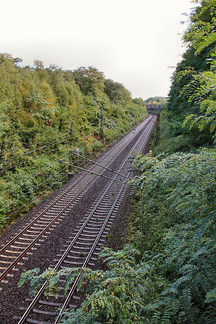 Blick auf die Hamm-Osterfelder Bahnstrecke (Recklinghausen) / 3.10.2017