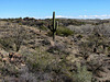 On The Arizona Trail