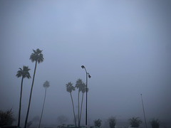 "Then one foggy x-mas eve..."