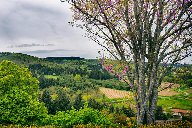 St haon en chatel