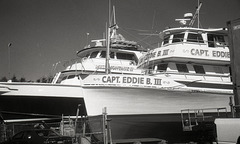 Capt Eddie