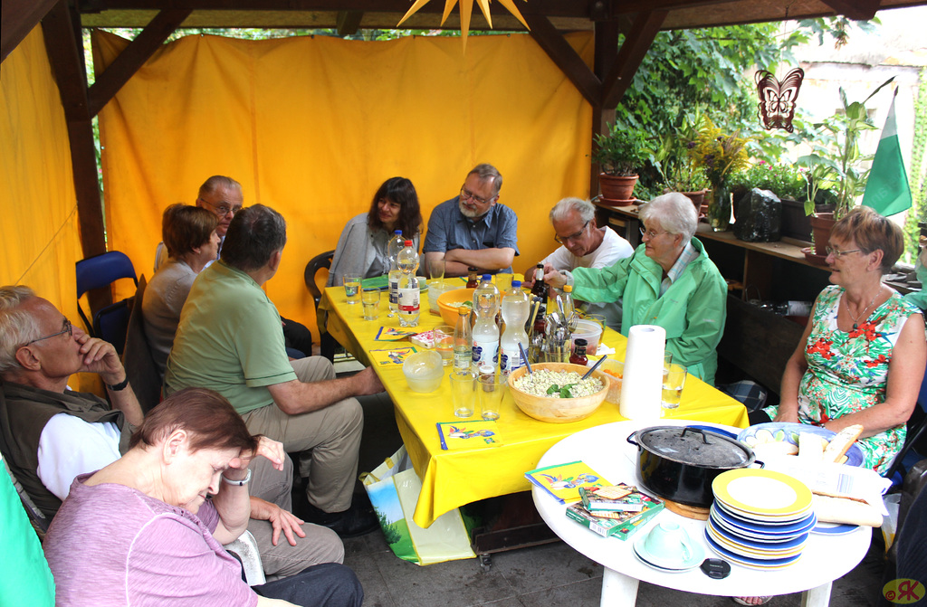 2016-09-04 05 Eo, kradrostado ce Alberto