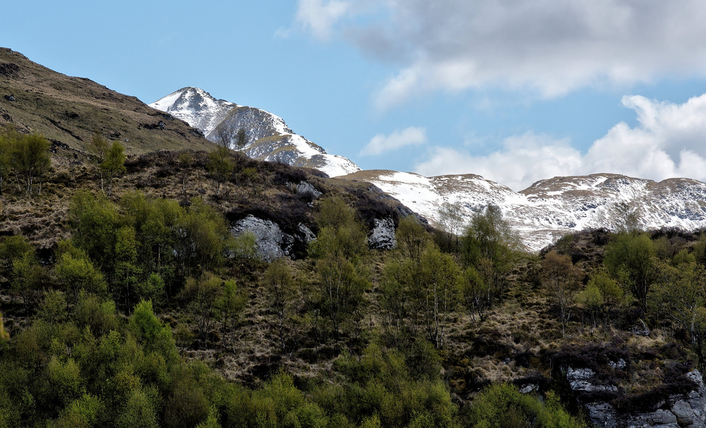 Ben Lomond from the north