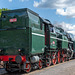 464.202 "Rosnička" (Laubfrosch)