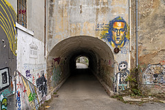 DSC03020 x1p