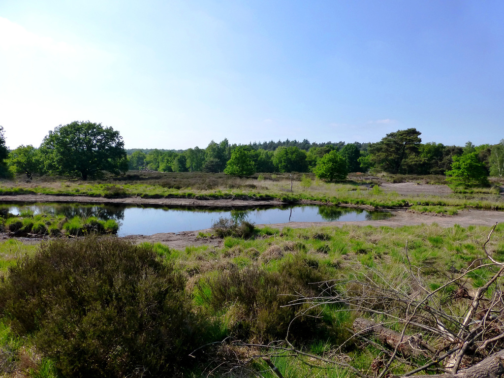 NL - Herkenbosch - Hiking in the Meinvennen