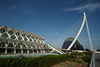 Ciudad De Las Artes Y Las Ciencias