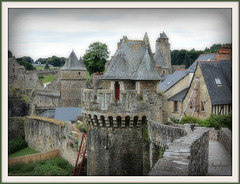 Fougères...Belle soirée et bon mardi mes ami(e)s ❤️