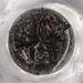 Planet Hamburg (PiP)