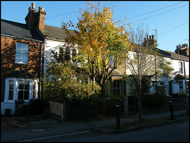 autumn in Princes Street