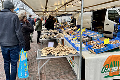 Mushrooms at Leiden market