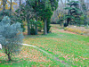 Automne au Parc du Bosquet (26)********