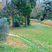 Automne au Parc du Bosquet (26)********