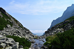Veľká Studená Dolina Veľká Studená Dolina