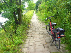 Elberadweg - 900m - Königstein-Bad Schandau