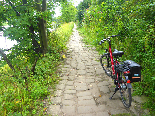 Elberadweg - 900m - Königstein-Bad Schandau