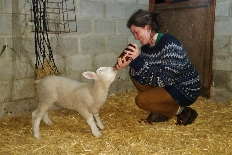 Heather feeding Haggis