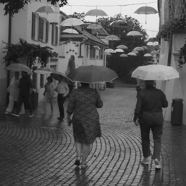 Umbrellas