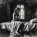 Another Cold Spring Sunday – Where Barren Thoughts Bloom in Shared Warmth - 3