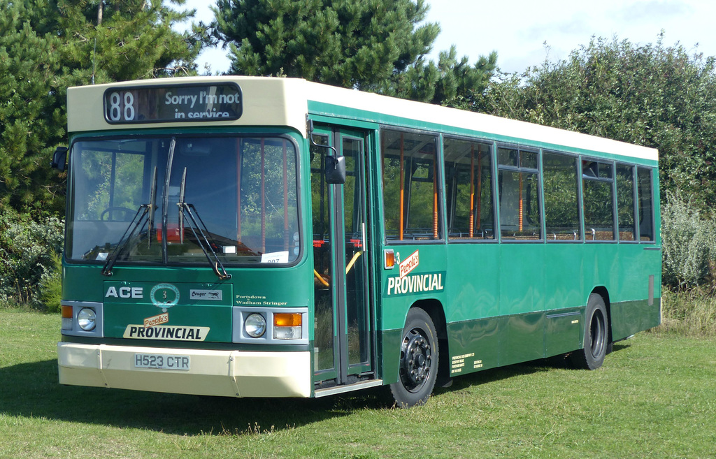 Stokes Bay Bus Rally (1) - 2 August 2015