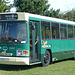 Stokes Bay Bus Rally (1) - 2 August 2015