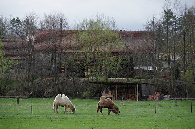 Irgendwo in der Oberpfalz.....