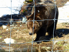 Der Zaun in Grouse Mountain