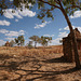 Old Halls Creek