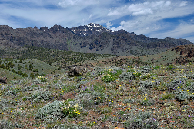 Steens Mountain Garden