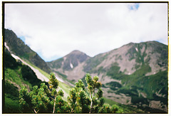 Roháče Pines: Life Above the Treeline