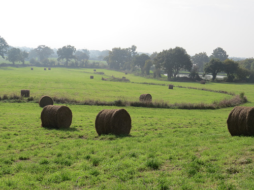 La campagne de Jublains.