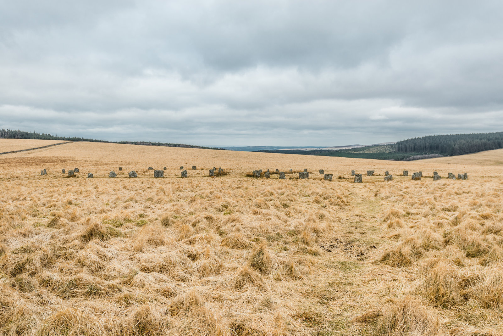 Grey Wethers -  20160319