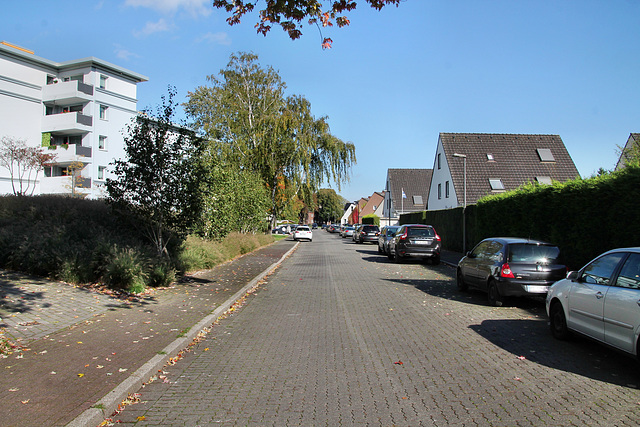 Breuskesbachstraße (Recklinghausen) / 3.10.2017