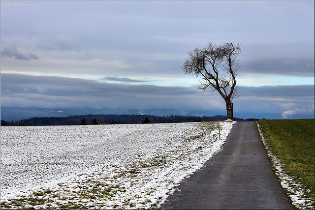 Ein wenig Landschaft mit Baum.