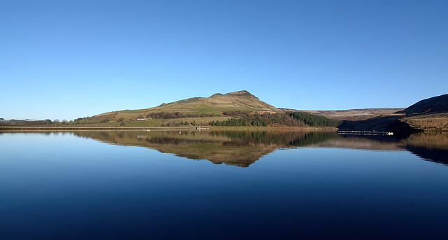 Dovestone recovers