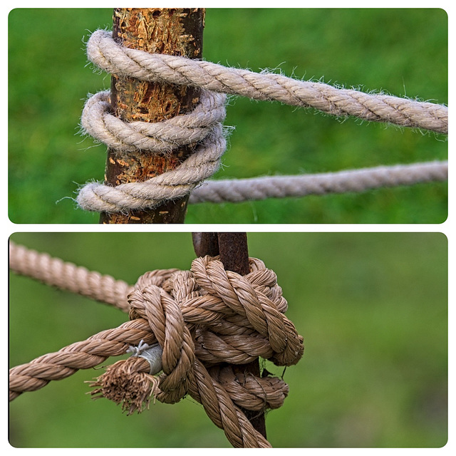 Rope Detail