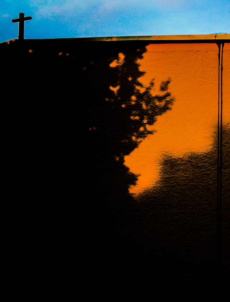Evening Sun