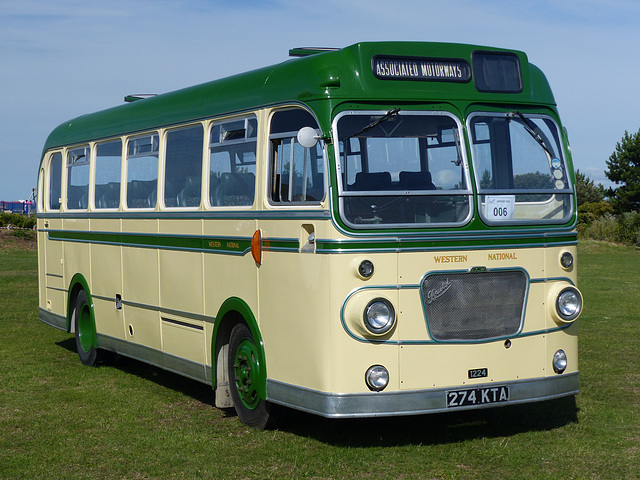 Stokes Bay Bus Rally (2) - 2 August 2015