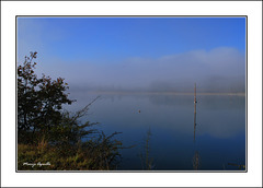 Niebla al amanecer sobre el pantano