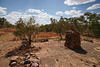 Old Halls Creek