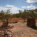 Old Halls Creek