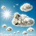 Schäfchen Wolken