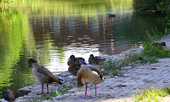 The silence of the water The silence of the water