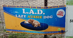 Lazy Aussie Dog food