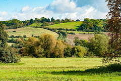 View East from Lacock Abbey