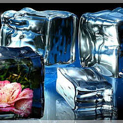 La fantaisie est un perpétuel printemps.      Johann Friedrich Von Schiller